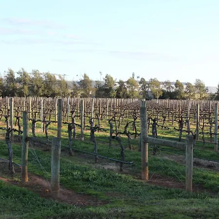 Milawa Vineyard Views - Guesthouse 2 Exterior photo