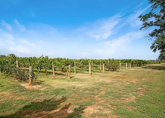 Milawa Vineyard Views - Guesthouse 2