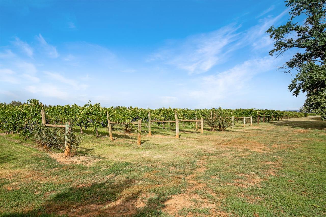 Vineyard Views - 2 Holiday home
