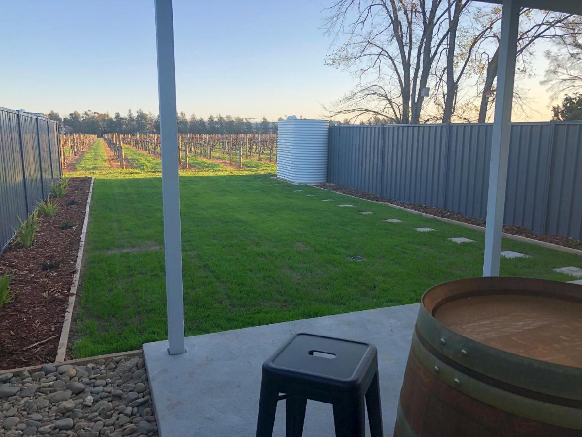 Vineyard Views - 2