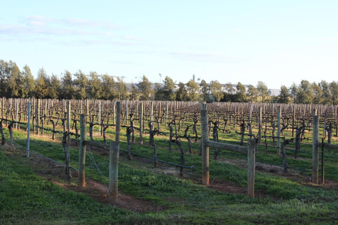 Vineyard Views - 2 Holiday home Milawa